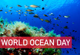 Find the perfect world ocean day stock photo. World Ocean Day 2021