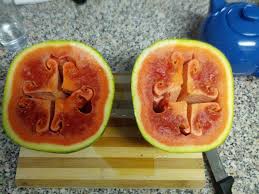 How to tell if a watermelon is bad. A Mildly Interesting Pattern When I Cut The Watermelon Today Imgur
