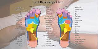 does foot reflexology work trendbaron com