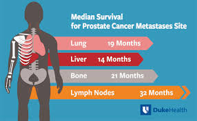 Dna is the chemical in our cells that makes up our. When Prostate Cancer Spreads Where It Goes Matters