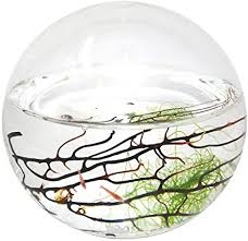 In 1972, he opened the garden again to add a bit of water. Amazon Com Ecosphere Small Sphere Aquariums Pet Supplies