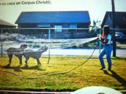 Rare Photo Selena Playing With Her Dogs Selena Pictures Selena Quintanilla Perez Selena Quintanilla