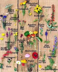 We did not find results for: Raised Bed Garden Design Tips Growing In The Garden Grow Wildflowers Raised Bed Garden Design Raised Garden Beds
