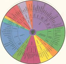 The Wine Tasting Wheel Chart In 2019 Wine Flavors Wine