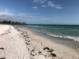 Visit the beach hazards safety page for more information about the hazards. Best Beaches In Sarasota Bradenton Coquina Beach On Anna Maria Island News Daytona Beach News Journal Online Daytona Beach Fl