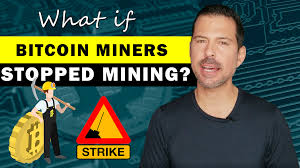 Ayshah's report on the rise people set up powerful computers just to try and get bitcoins. What If Bitcoin Miners Stopped Mining George Levy