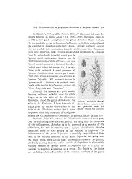 Image result for Acrachne