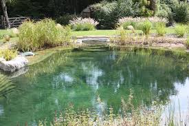Natural Swimming Pond Designs From Gartenart Swimming Pool Pond Natural Swimming Ponds Natural Swimming Pools