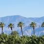 Palm Springs California from www.visitgreaterpalmsprings.com