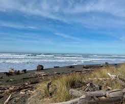 ❤️ Love is in the air, Humboldt! The Humboldt County Clerk-Recorder's  Office is announcing extended hours and special services available for  couples wishing to say “I do”