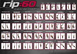 Wall Chart For Suspension Trainer Exercises Workout