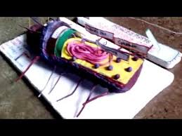Bacteria Cell Model Project Youtube Biology Projects Cell Biology Project Cell Model Project