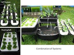These are hydroponics and aquaculture. Pin On Aquaponics Greenhouse