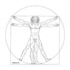 Vitruvian Man Vitruvian Man Leonardo Da Vinci Tattoos With Meaning