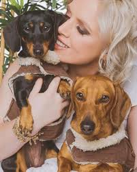 A big yes if a Dachshund is part of your family