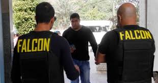 نتيجة بحث الصور عن شركة فالكون للأمن