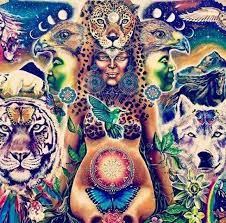 Https Www Afterlife Coach After Life Blog Whats It Like To Be An Ayahuasca Shaman Ayahuasca Ceremony Shaman Ayahuasca
