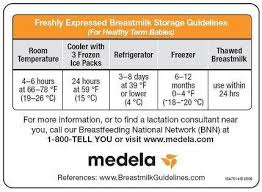 Medela Milk Storage Guidelines Magnet 1 Each By Medela