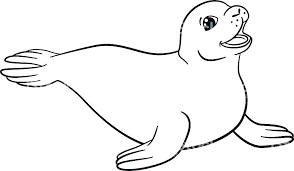 Galapagos fur seal coloring page. Top 10 Sea Lion Coloring Pages