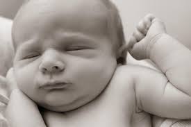 Kathy Bromer Photography