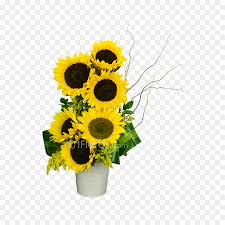 Ribuan gambar baru setiap hari sepenuhnya gratis untuk digunakan video dan gambar berkualitas tinggi dari pexels. Umum Bunga Matahari Bunga Bunga Potong Gambar Png