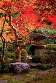 Farbenfroher Herbst Garten Japanese Garden Japanese Garden Design Japan Garden
