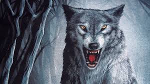 Find the perfect wolf picture from over 2,000 of the best wolf images. Wolf Wallpapers 1920x1080 Full Hd 1080p Desktop Backgrounds