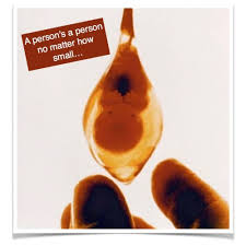 A Person S A Person No Matter How Small Audiogirl Ministries