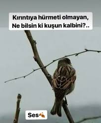 Volkan Sonmez Bu Sehir Fon Muzigi Guzel Soz Ozlu Sozler Hayat