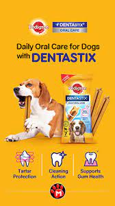 Spoil Your Pet On National Dog Day Dog Dental Treats Dog Bones Dog Chews