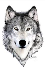 Temporary Tattoo Wolf Pattern Size 10 5 6 Cm Etsy Em 2020 Lobo Tatuagem Desenho De Tatuagem De Lobo Desenho De Lobos