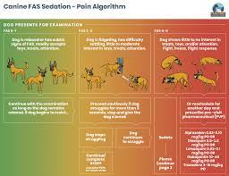 Maybe you would like to learn more about one of these? Fas Spectrum And Pain Algorithm