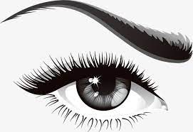 Eye Eyes Clipart Black And White Eyeball Png And Vector With Transparent Background For Free Download Best Fake Eyelashes Eyelash Extensions Fake Eyelashes