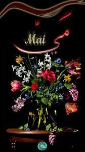 م ي اسم علم مؤنث عربي معناه القردة الصغيرة أو الغزال الصغير مي mai neon signs learning math neon