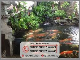 Karena mendapatkan ikan koi dengan penampilan buruk itu mengecewakan. Buat Kolam Ikan Koi Minimalis Modern Pangkalpinang Harga Murah
