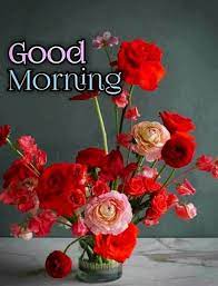 We have exclusive and really beautiful good morning images with rose flowers that you can share on whatsapp, facebook with your loved ones. Good Morning Images For Whatsapp Good Morning Flowers Pictures Good Morning Roses Good Morning Flowers