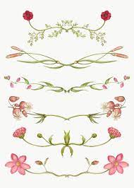 Png Flower Flourish Divider Element Set Remix From The Model Book Of Calligraphy Joris Hoefnagel And Ge Flower Illustration Antique Artwork Free Illustrations