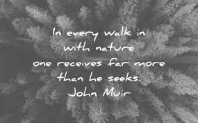 The Best Nature Quotes Here Are 450 Of The Most Beautiful