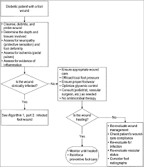 Printout Diabetic Foot Infections Assessment