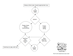 Pet Behavior Aid Bite Flow Chart Animal Hospital Of North