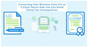 Avoid Expensive Tax Consequences By Converting Your Entity