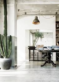 Everything You Need To Know About Cactus Water The Buzzy Health Elixir Home House Design Home Decor