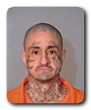 Arizona Inmate Locator