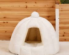 cat sleeping on a microfiber cushionの画像