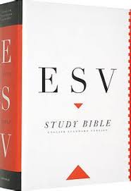 To install esv bible on your smartphone, you will need to download this android apk for free from this . Full Download Esv Study Bible Zenbix Epub Archive Online