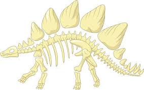 Vector Illustration Of Cartoon Stegosaurus Skeleton In 2020 Vector Illustration Illustration Animal Skeletons