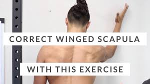 Image result for Winged Scapula