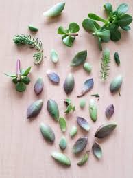 Hardwood ash es gardening compost fertilizer home grown wood ash compost pure. A Trip To Home Depot With My Dad For Fertilizer Turned Up A Good Set Of Future Props Proplifting