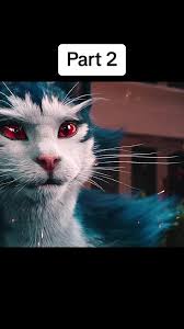 The Adventures of Buster Princess Mia and Angel Zook