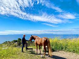 Behind The Song America Horse With No Name American Songwriter America Band Songwriting America
